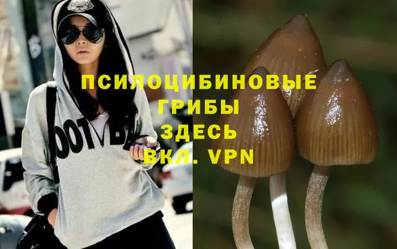 гидра как войти  Отрадная  Псилоцибиновые грибы MAGIC MUSHROOMS 